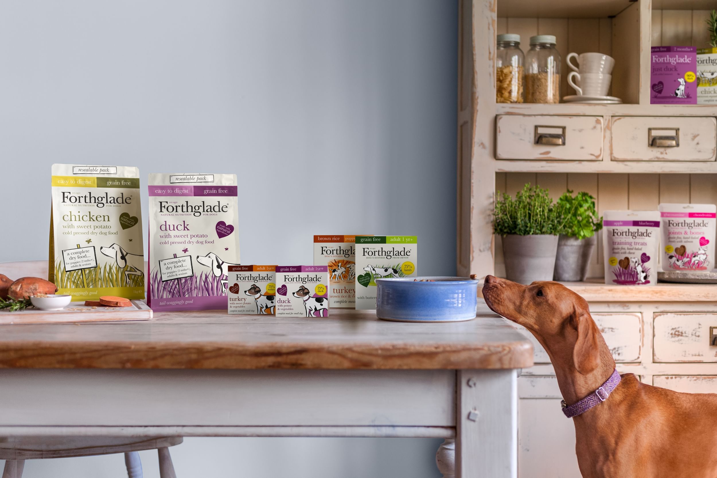Forthglade to Unveil New Natural Recipes for Dogs At PATS Telford